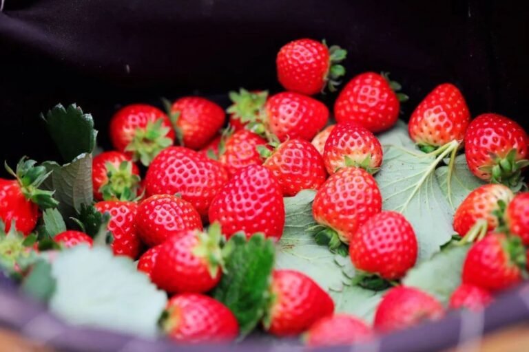 strawberries
